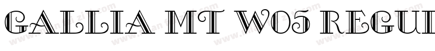 Gallia MT W05 Regular字体转换